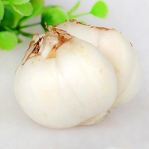 蔬菜2.jpg